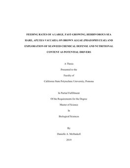 Feeding Rates of a Large, Fast-Growing, Herbivorous Sea