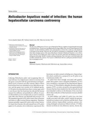 Helicobacter Hepaticus Model of Infection: the Human Hepatocellular Carcinoma Controversy
