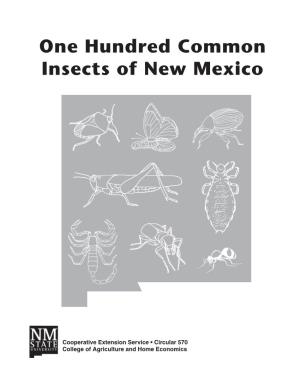 One Hundred Common Insects of New Mexico