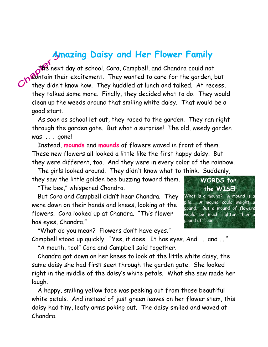 Amazing Daisy and Her Flower Family