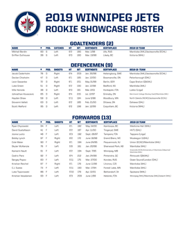 2019 Winnipeg Jets Rookie Showcase Roster
