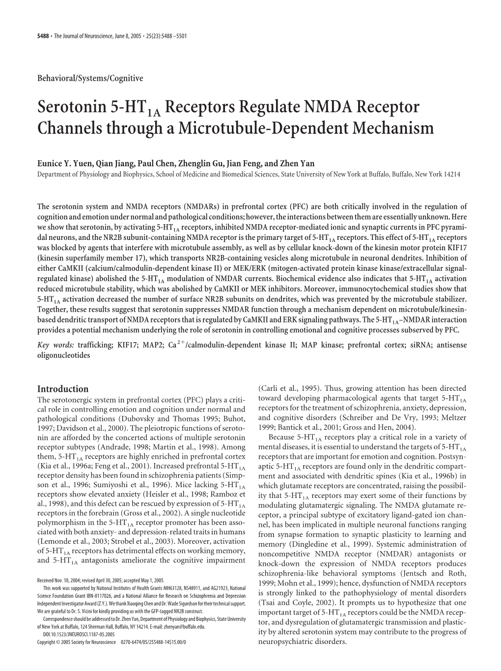 Serotonin 5-HT1A Receptors Regulate NMDA Receptor Channels Through a Microtubule-Dependent Mechanism