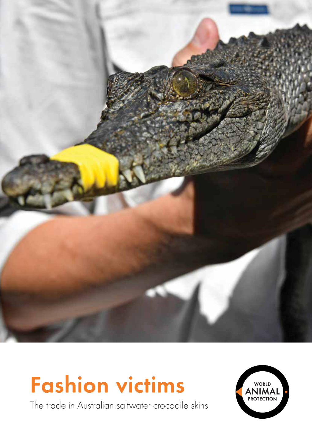 Fashion Victims the Trade in Australian Saltwater Crocodile Skins Acknowledgments