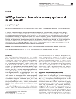 KCNQ Potassium Channels in Sensory System and Neural Circuits