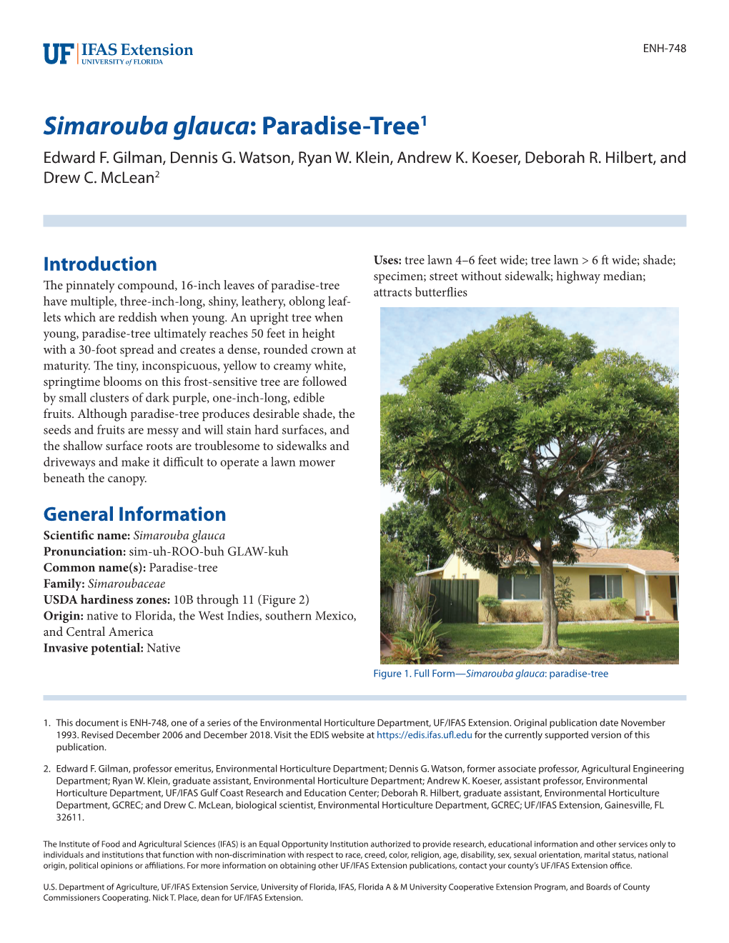 Simarouba Glauca: Paradise-Tree1 Edward F
