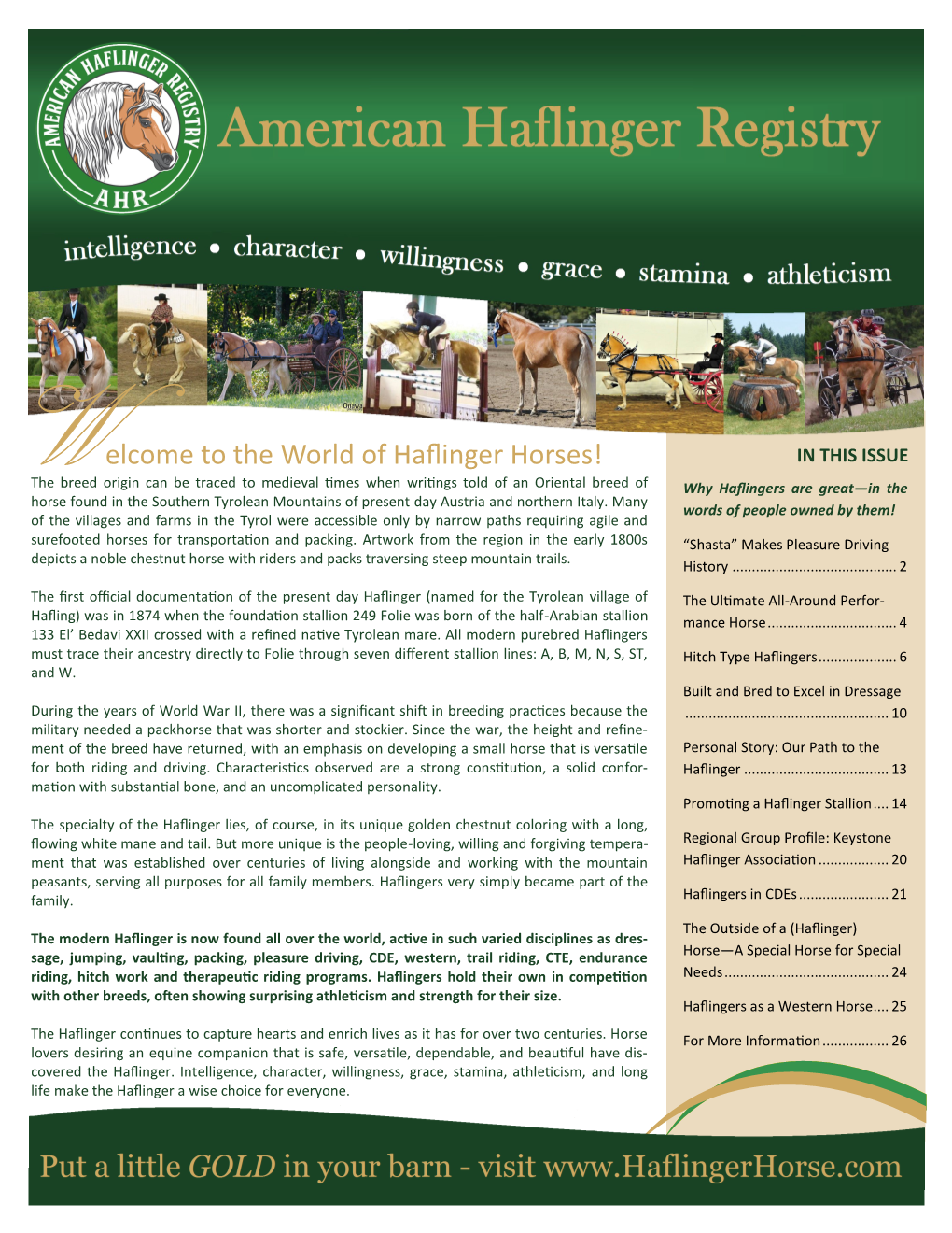 The World of Haflinger Horses!