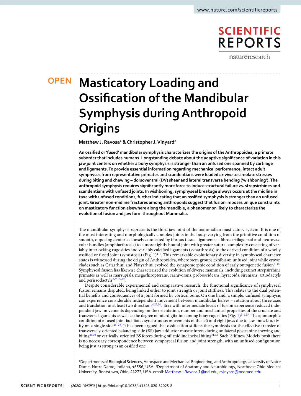 Masticatory Loading and Ossification of the Mandibular Symphysis During