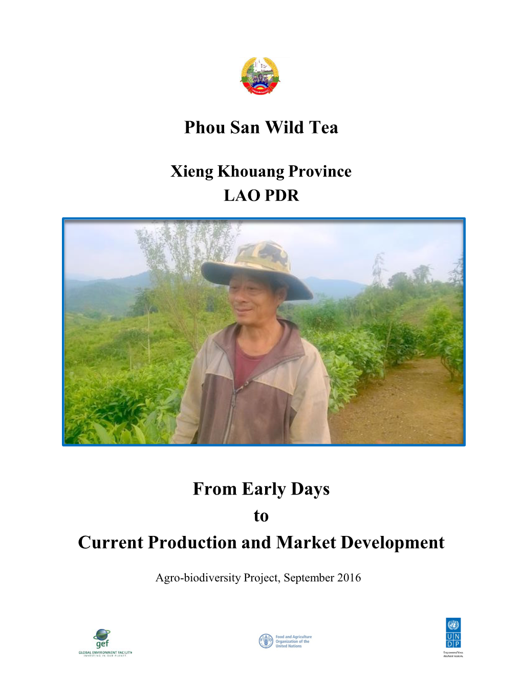 Phou San Wild Tea