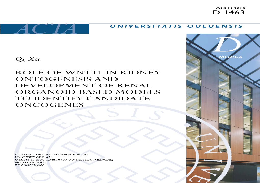 Role of Wnt11 in Kidney Ontogenesis and Development of Renal Organoid Based Models to Identify Candidate Oncogenes