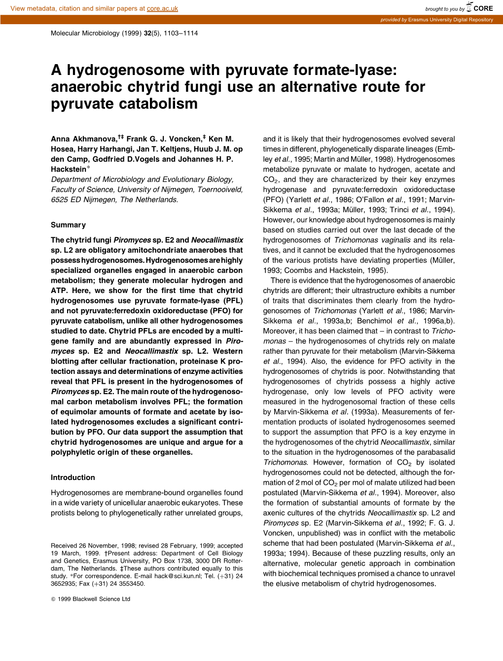 A Hydrogenosome with Pyruvate Formate-Lyase: Anaerobic Chytrid Fungi Use an Alternative Route for Pyruvate Catabolism