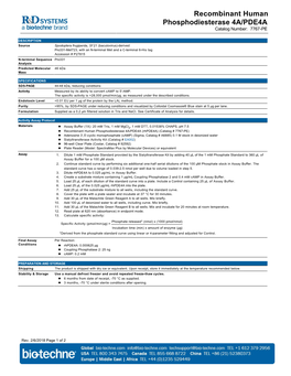 Recombinant Human Phosphodiesterase 4A/PDE4A