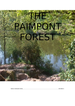 Paimpont Forest
