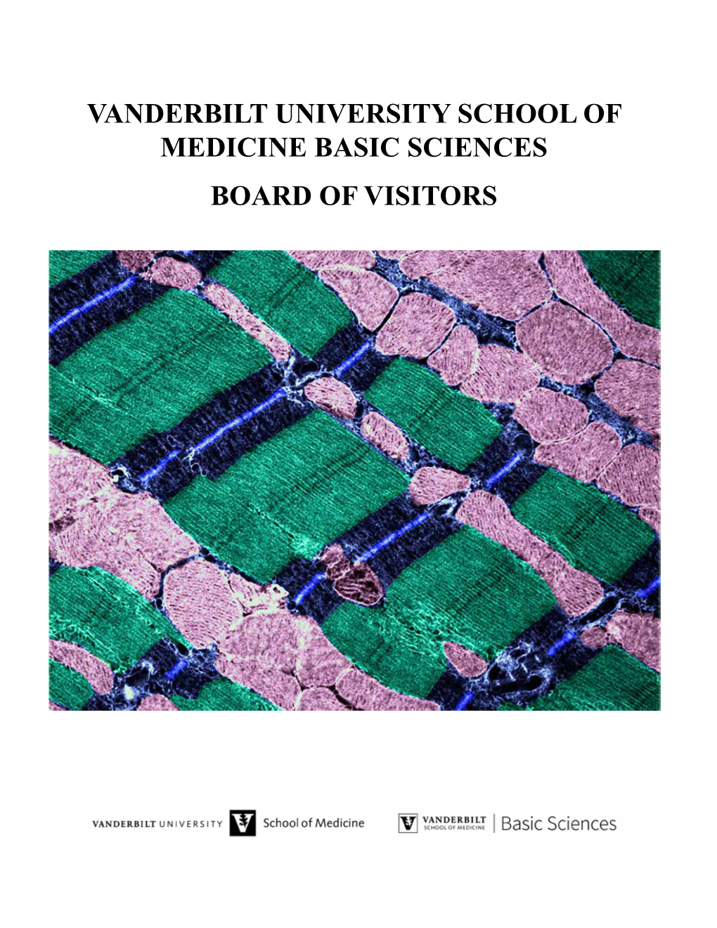 Vanderbilt University School of Medicine Basic Sciences Board of Visitors