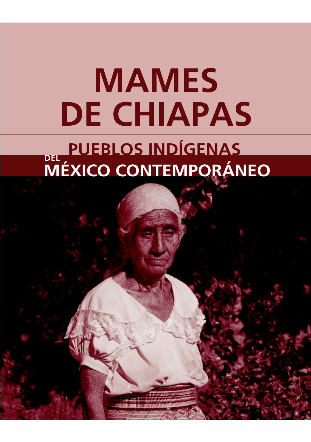 Monografía. Mames De Chiapas