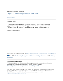 Entomoplasmatales) Associated with Tabanidae (Diptera) and Lampyridae (Coleoptera
