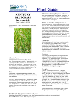 Kentucky Bluegrass Is Included in KENTUCKY Seed Mixes That Are Used to Revegetate Roadbanks
