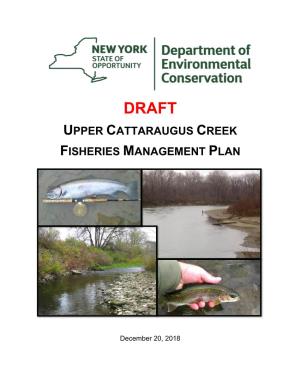 Draft Upper Cattaraugus Creek Fisheries Management Plan