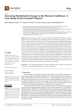 Assessing Hydrokinetic Energy in the Mexican Caribbean: a Case Study in the Cozumel Channel