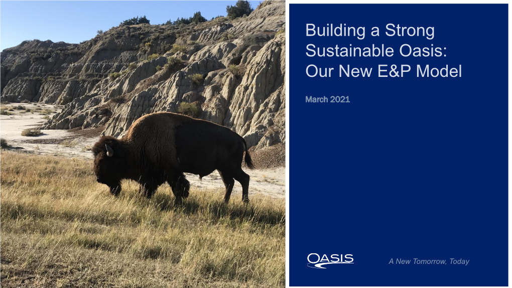 Sustainable Oasis: Our New E&P Model