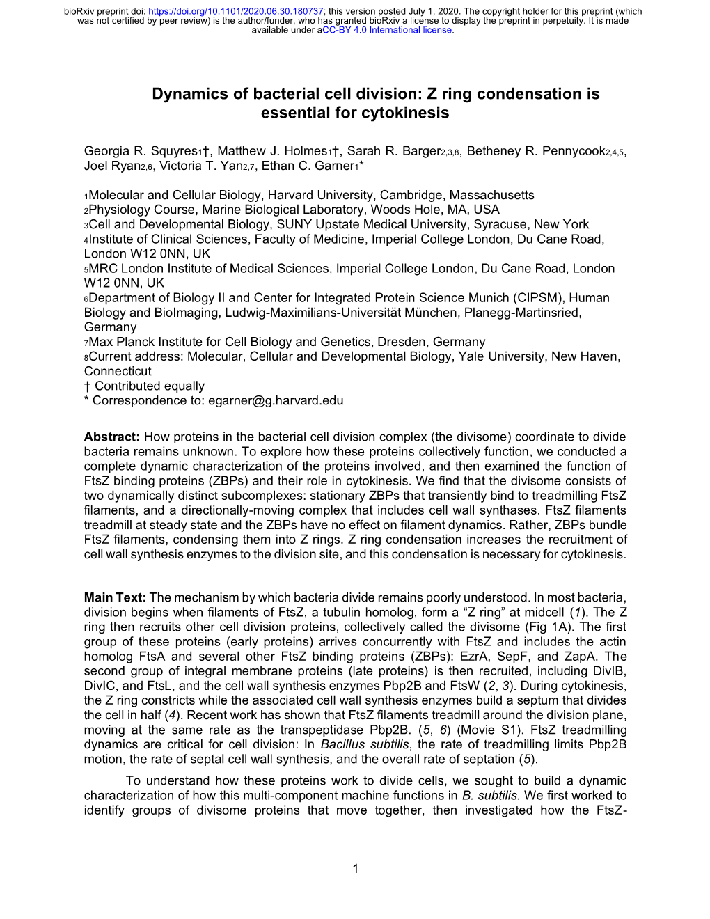 Dynamics of Bacterial Cell Division: Z Ring Condensation Is Essential for Cytokinesis