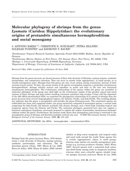 Molecular Phylogeny of Shrimps from the Genus Lysmata (Caridea: Hippolytidae): the Evolutionary Origins of Protandric Simultaneous Hermaphroditism and Social Monogamy