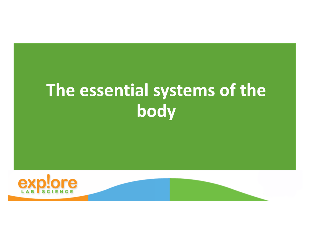 The Body Systems