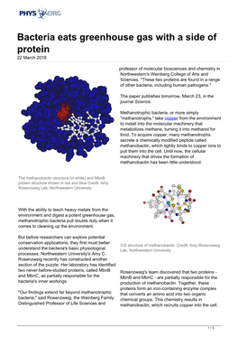 Bacteria Eats Greenhouse Gas with a Side of Protein 22 March 2018