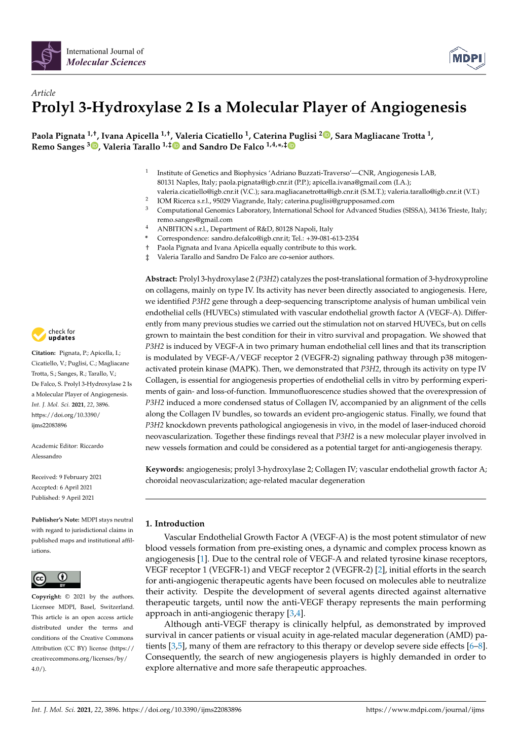 Prolyl 3-Hydroxylase 2 Is a Molecular Player of Angiogenesis