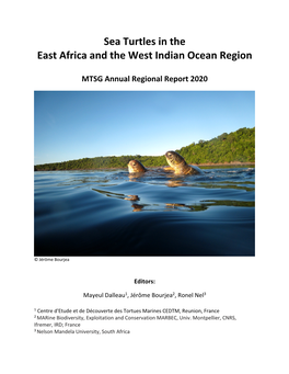Sea Turtles in the East Africa and the West Indian Ocean Region