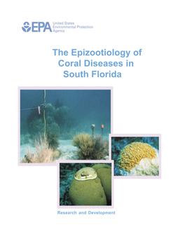 The Epizootiology of Coral Diseases in South Florida