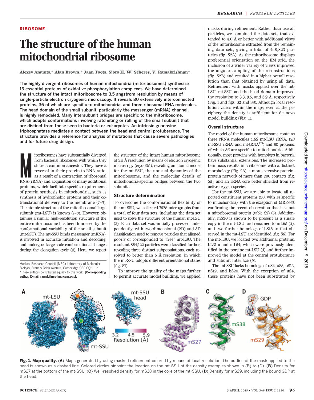 The Structure of the Human Mitochondrial Ribosome