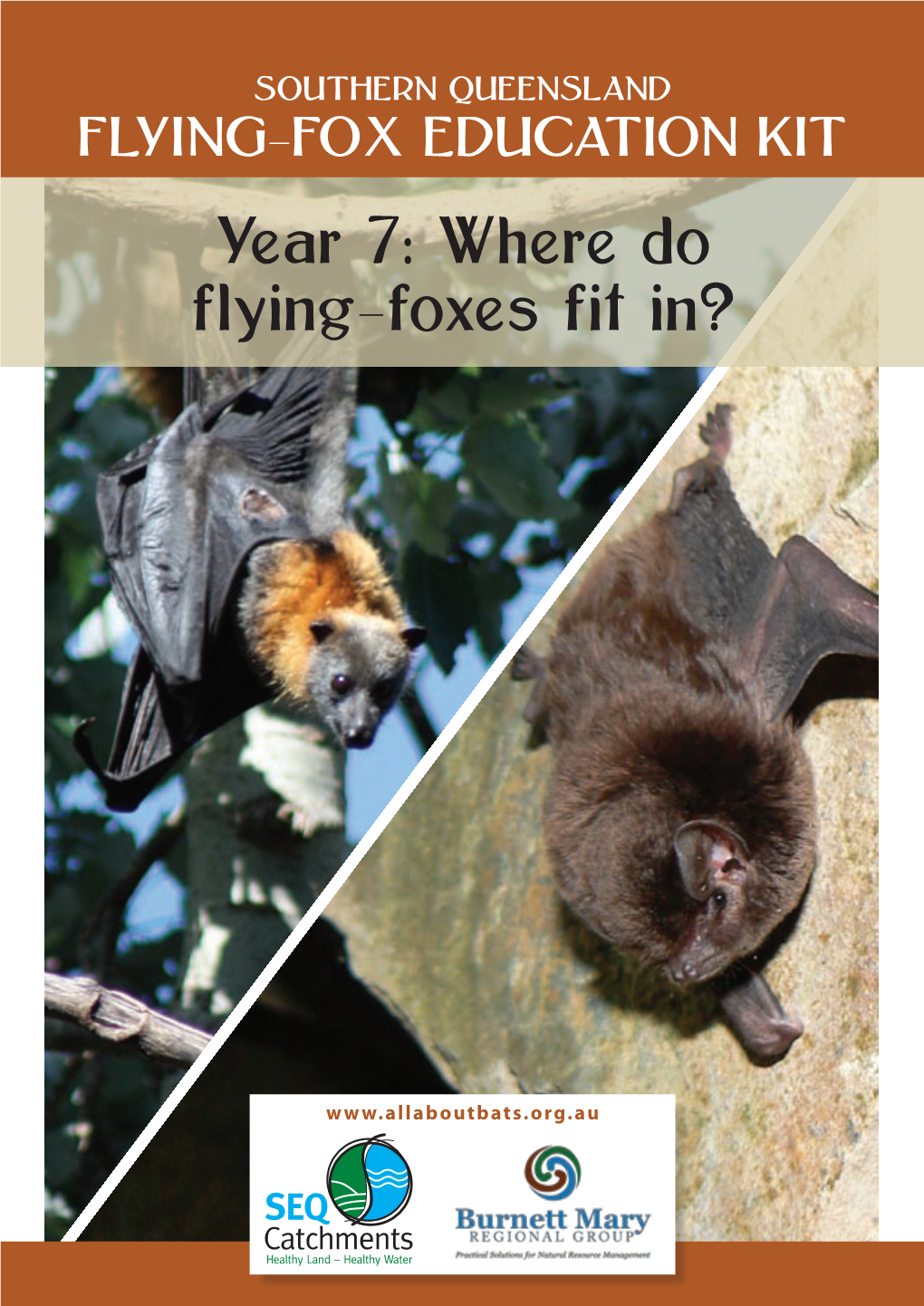 Year 7: Where Do Flying-Foxes Fit In?