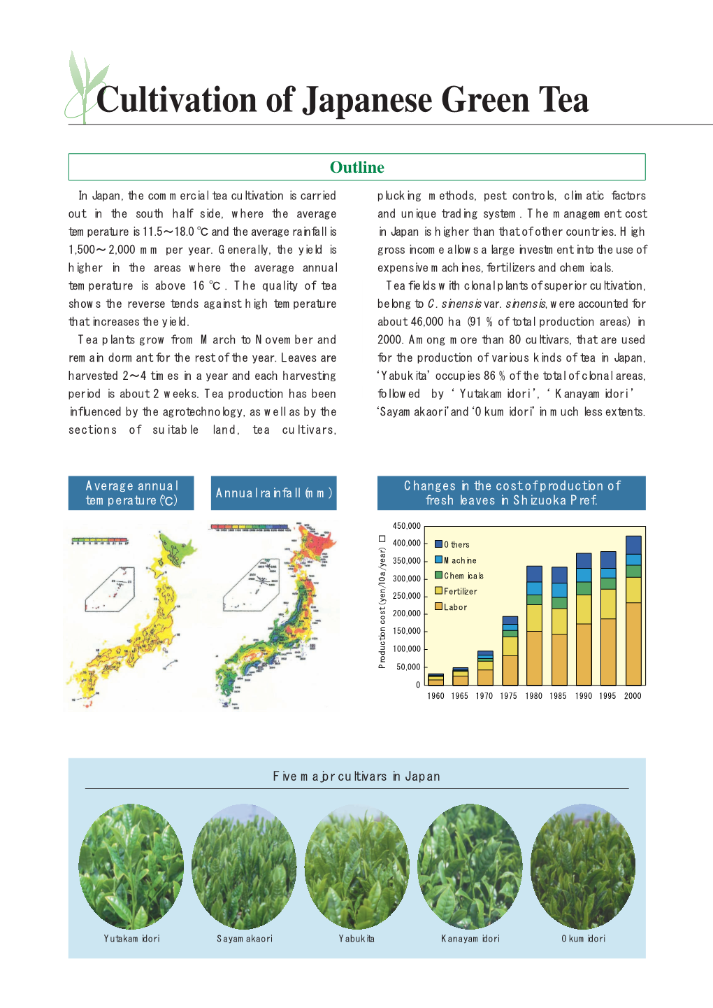 Cultivation of Japanese Green Tea