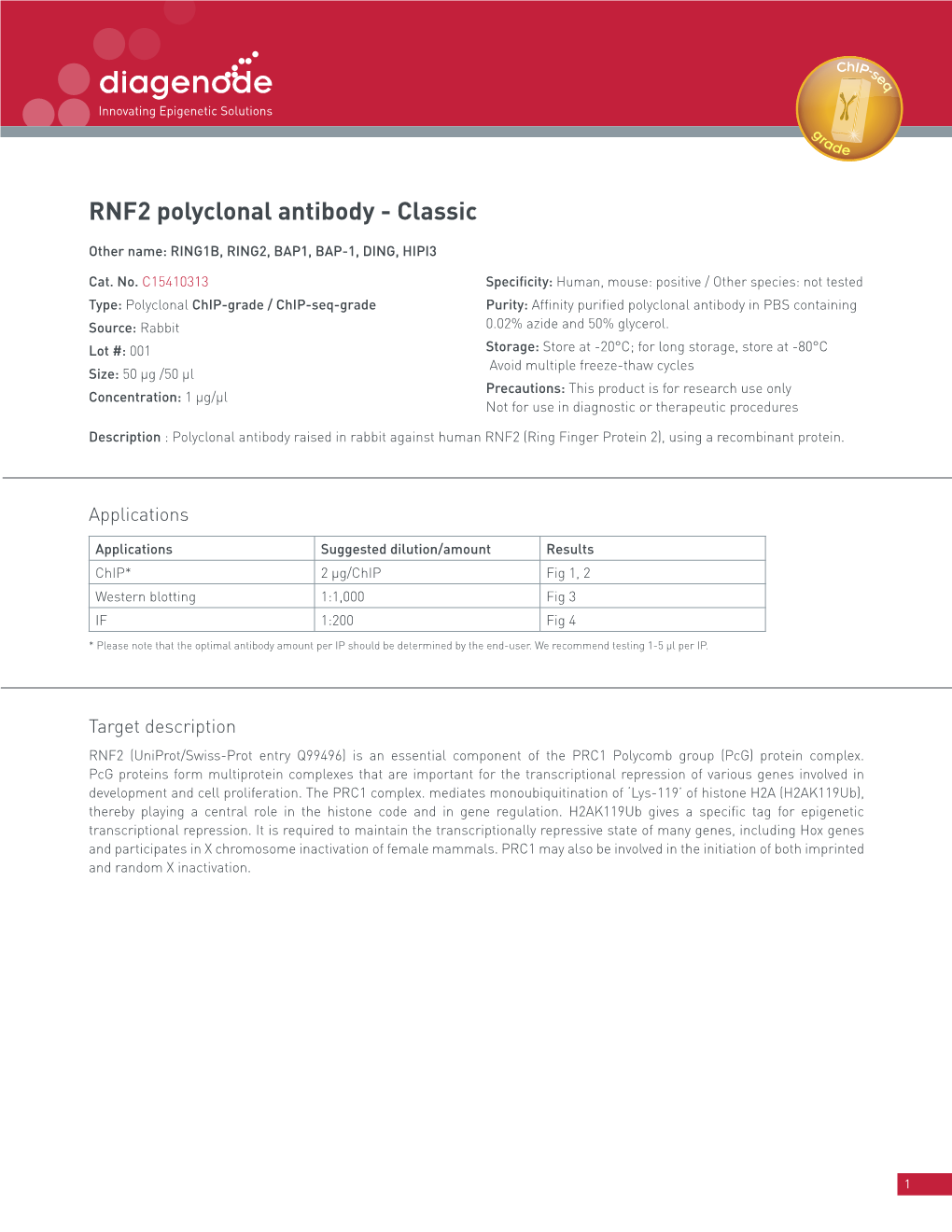 RNF2 Polyclonal Antibody - Classic