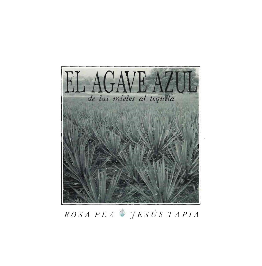 El Agave Azul : De Las Mieles Al Tequila