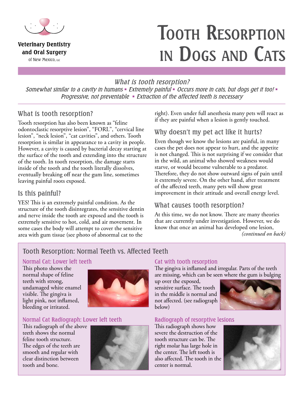 Tooth Resorption in Dogs and Cats