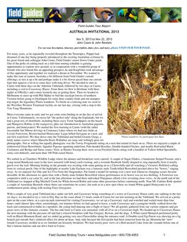 Field Guides Birding Tours: Australia Invitational 2013