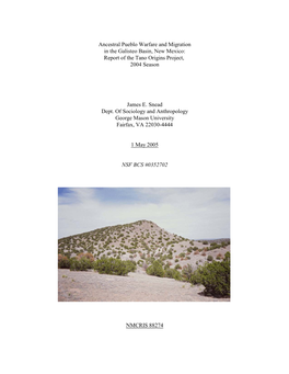 Ancestral Pueblo Warfare and Migration in the Galisteo Basin, New Mexico: Report of the Tano Origins Project, 2004 Season