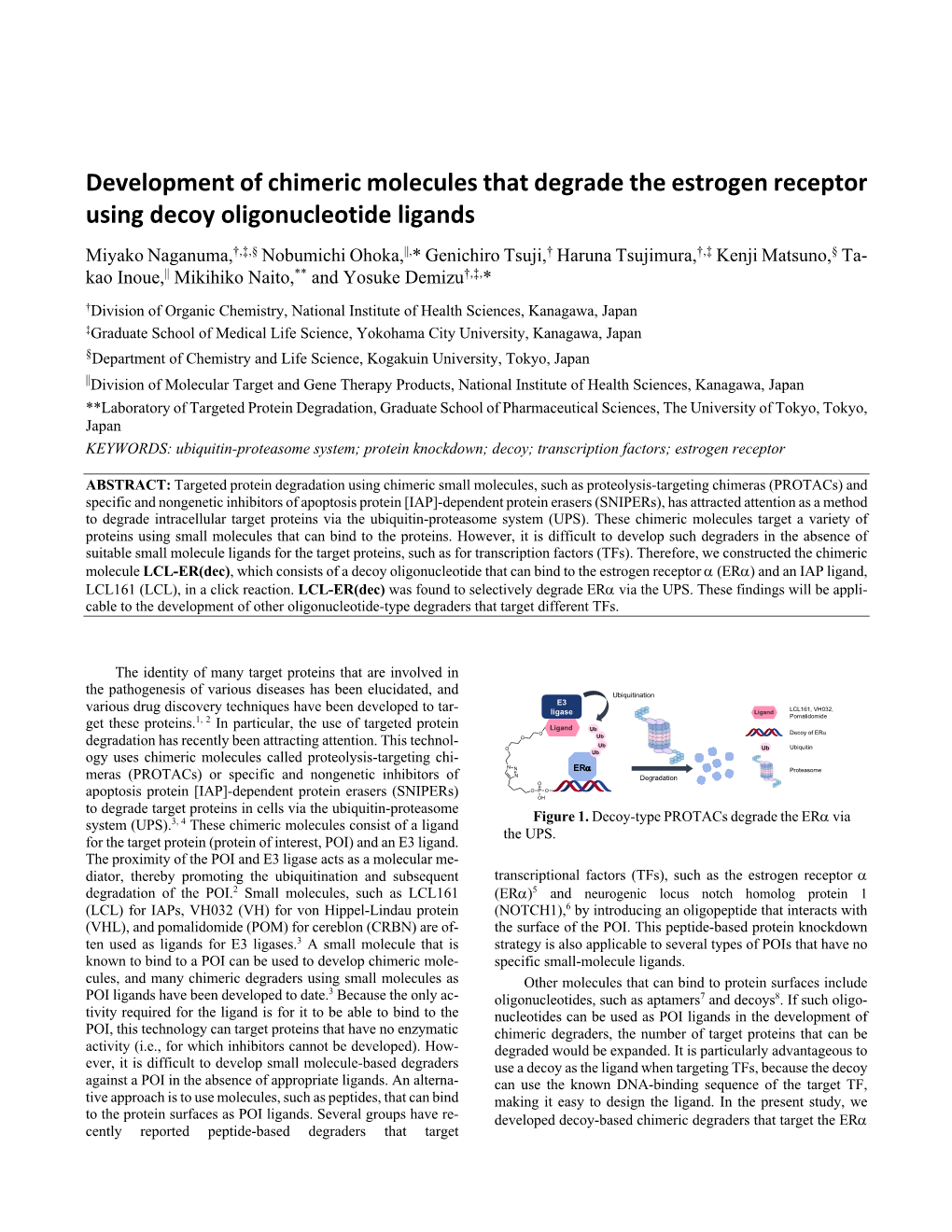Development of Chimeric Molecules That Degrade the Estrogen Receptor