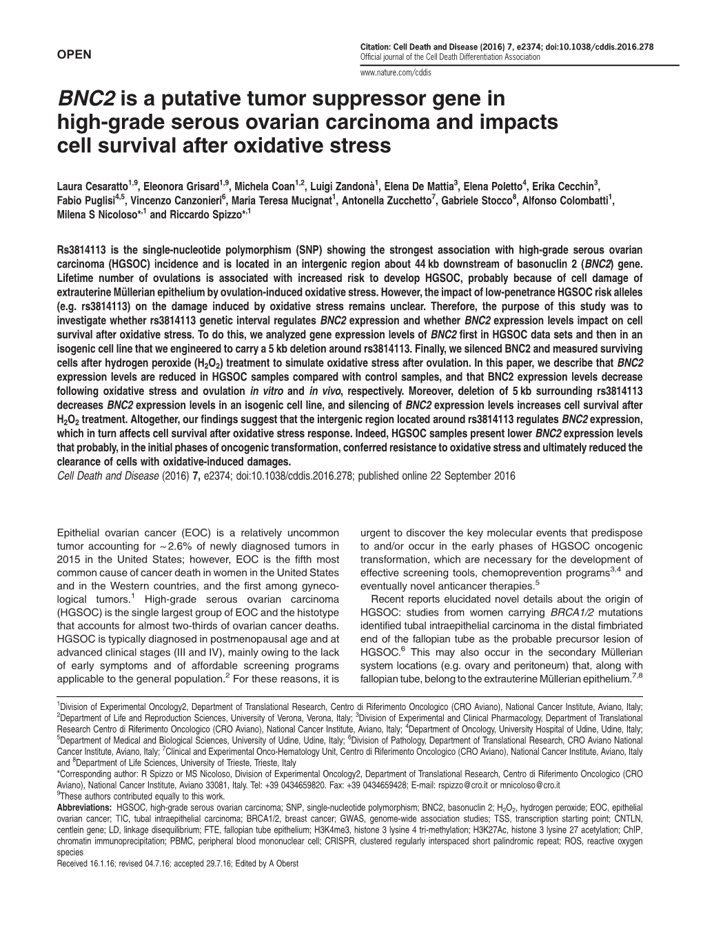 BNC2 Is a Putative Tumor Suppressor Gene in High-Grade Serous Ovarian Carcinoma and Impacts Cell Survival After Oxidative Stress