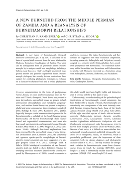 A NEW BURNETIID from the MIDDLE PERMIAN of ZAMBIA and a REANALYSIS of BURNETIAMORPH RELATIONSHIPS by CHRISTIAN F