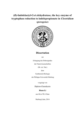 Clostridium Sporogenes