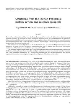 Amiiforms from the Iberian Peninsula: Historic Review and Research Prospects