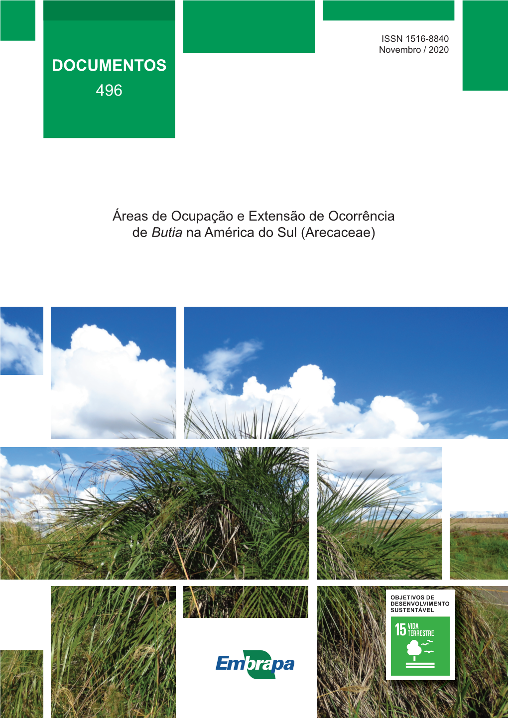 Áreas De Ocupação E Extensão De Ocorrência De Butia Na América Do Sul (Arecaceae)