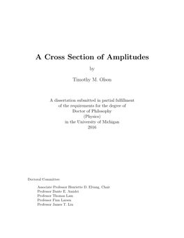 A Cross Section of Amplitudes By