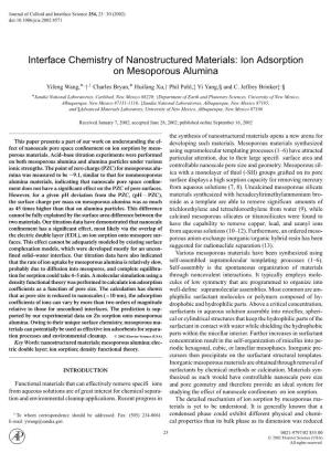 Ion Adsorption on Mesoporous Alumina