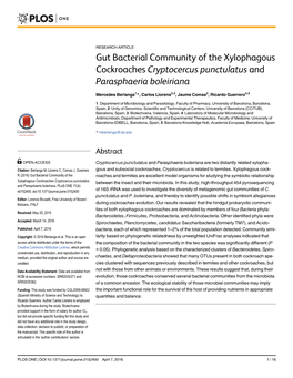 Gut Bacterial Community of the Xylophagous Cockroaches Cryptocercus Punctulatus and Parasphaeria Boleiriana