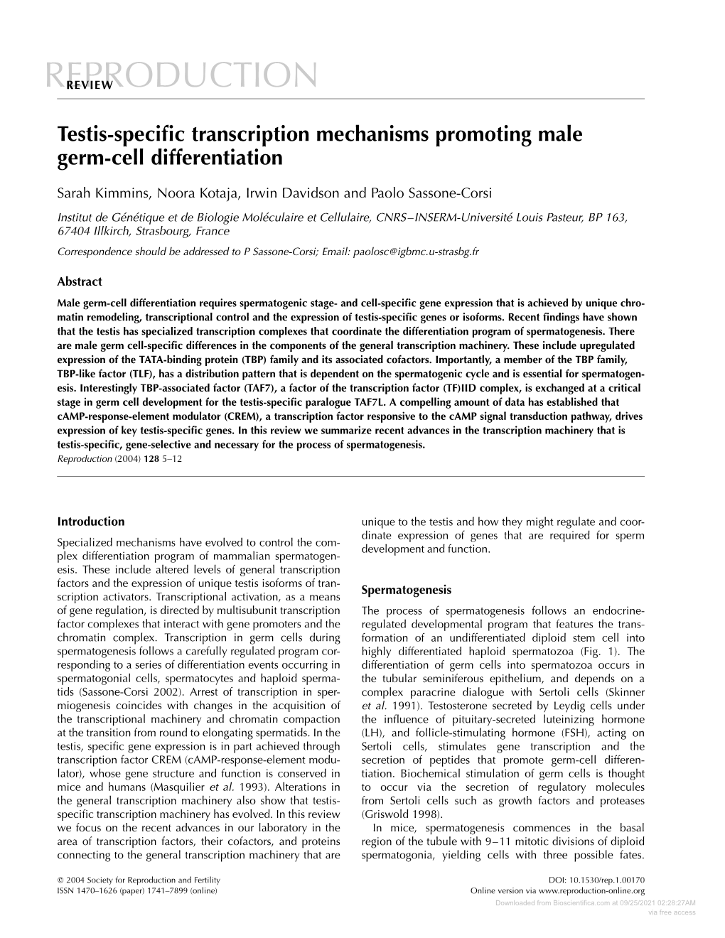 Testis-Specific Transcription Mechanisms Promoting Male Germ