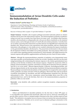 Immunomodulation of Avian Dendritic Cells Under the Induction of Prebiotics