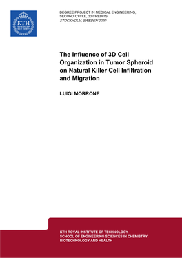 The Influence of 3D Cell Organization in Tumor Spheroid on Natural Killer Cell Infiltration and Migration